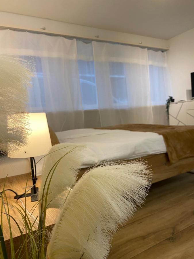 Eine Schoene Wohnung Am Messeplatz Basel Ngoại thất bức ảnh