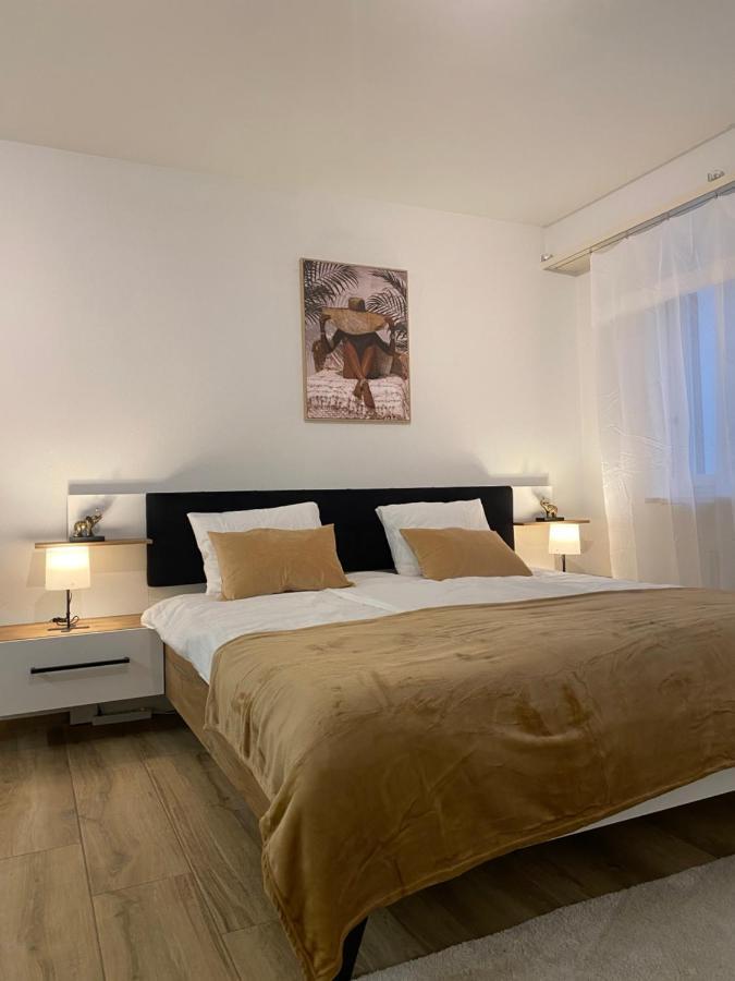 Eine Schoene Wohnung Am Messeplatz Basel Ngoại thất bức ảnh